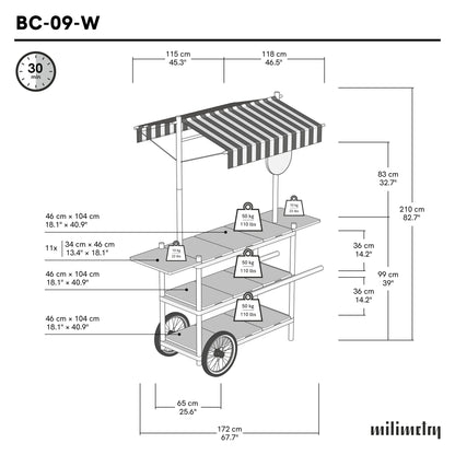 Market Stall Cart with Canopy BC-09-W-ML | custom color