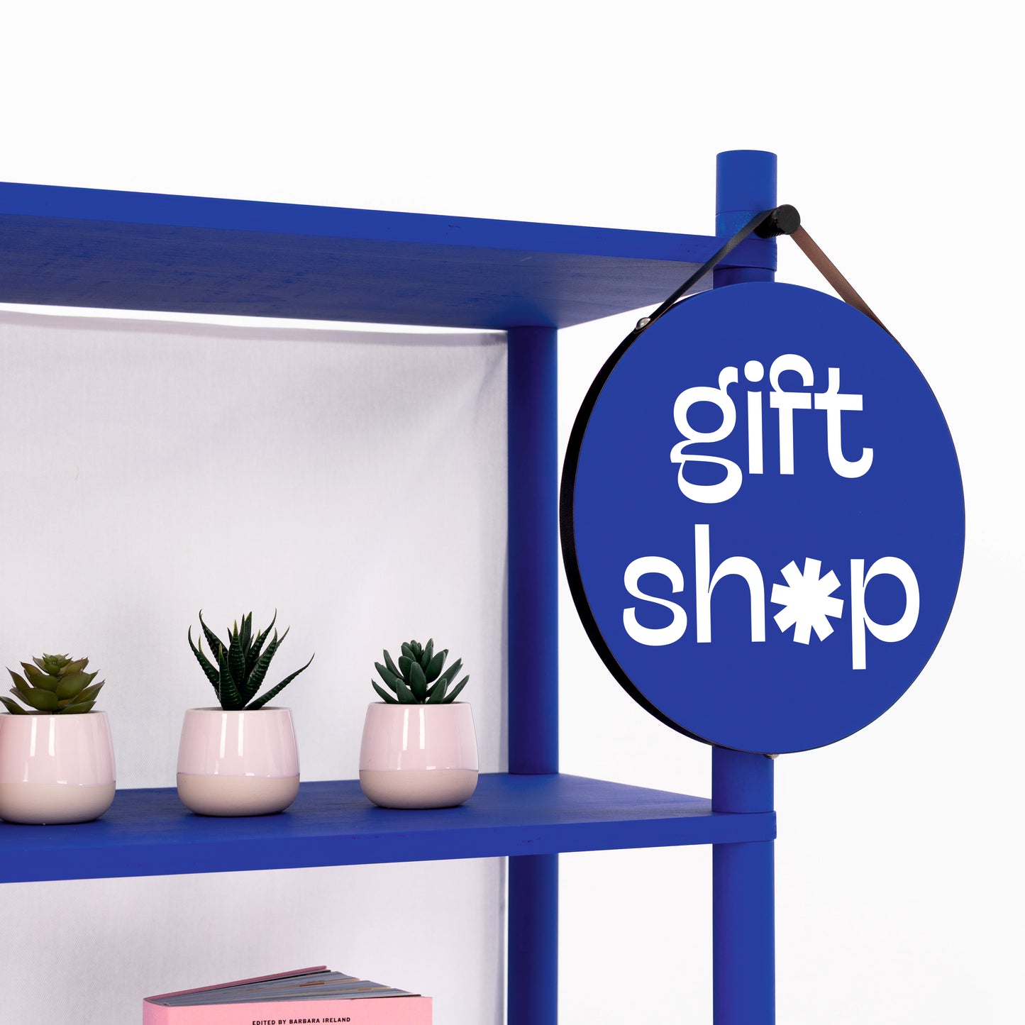 Modular Shelving Unit BS-01-ML | custom color