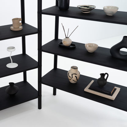 Double Shelving Unit BS-02-B-BL | black color