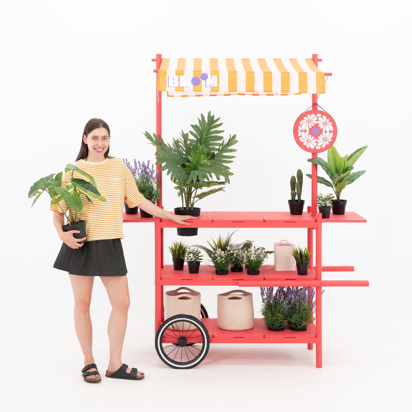 Market Stall Cart with Canopy BC-09-W-ML | custom color