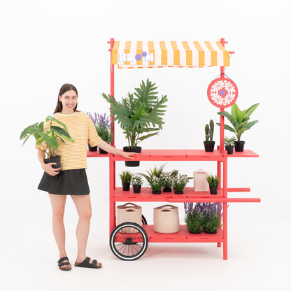 Market Stall Cart with Canopy BC-09-W-ML | custom color