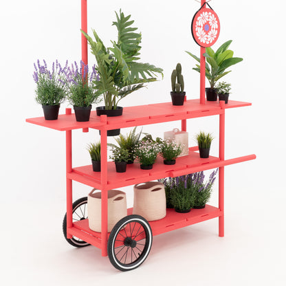 Market Stall Cart with Canopy BC-09-W-ML | custom color