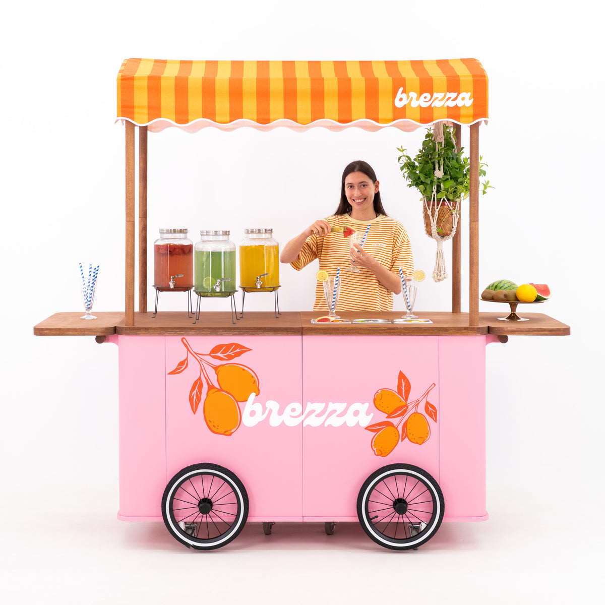 Carrito grande para eventos con toldo VC-37-W-ML | color personalizado