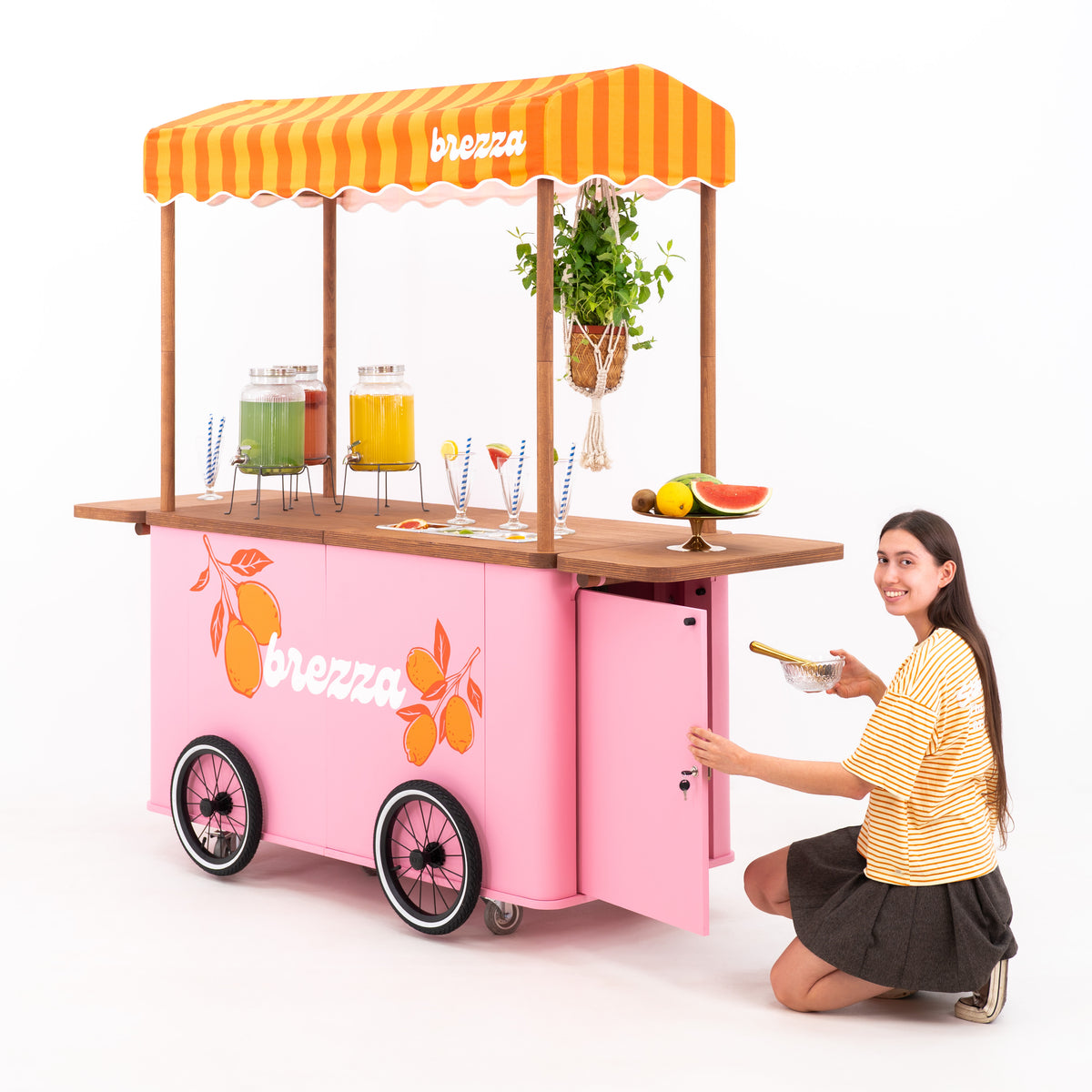 Carrito grande para eventos con toldo VC-37-W-ML | color personalizado