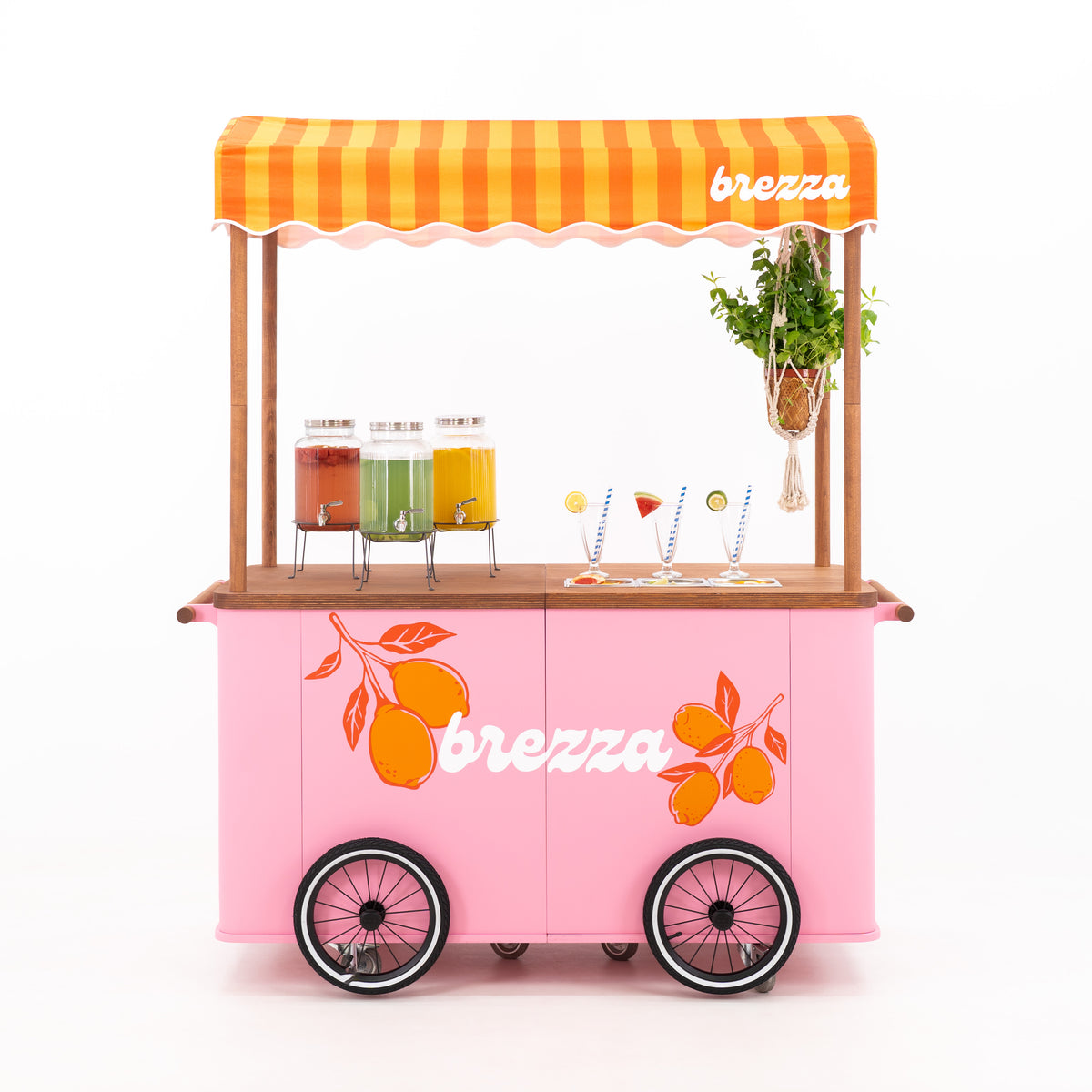 Carrito grande para eventos con toldo VC-37-W-ML | color personalizado