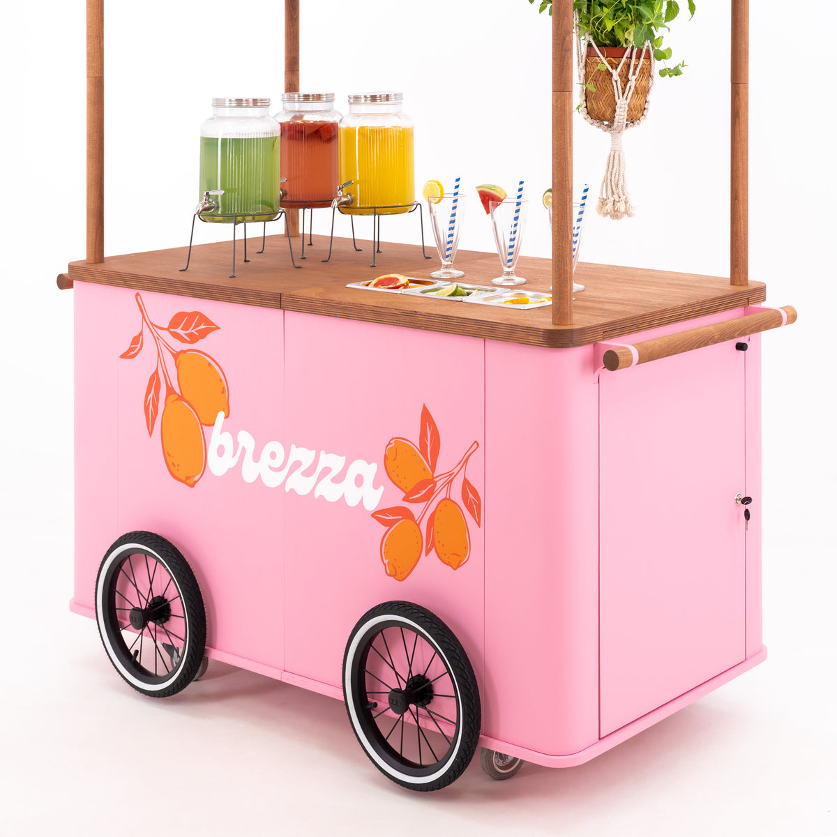 Carrito grande para eventos con toldo VC-37-W-ML | color personalizado