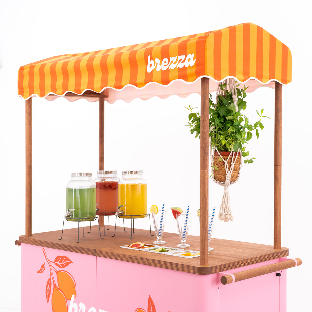 Carrito grande para eventos con toldo VC-37-W-ML | color personalizado