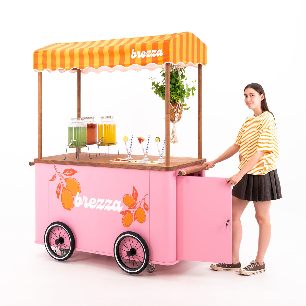 Carrito grande para eventos con toldo VC-37-W-ML | color personalizado