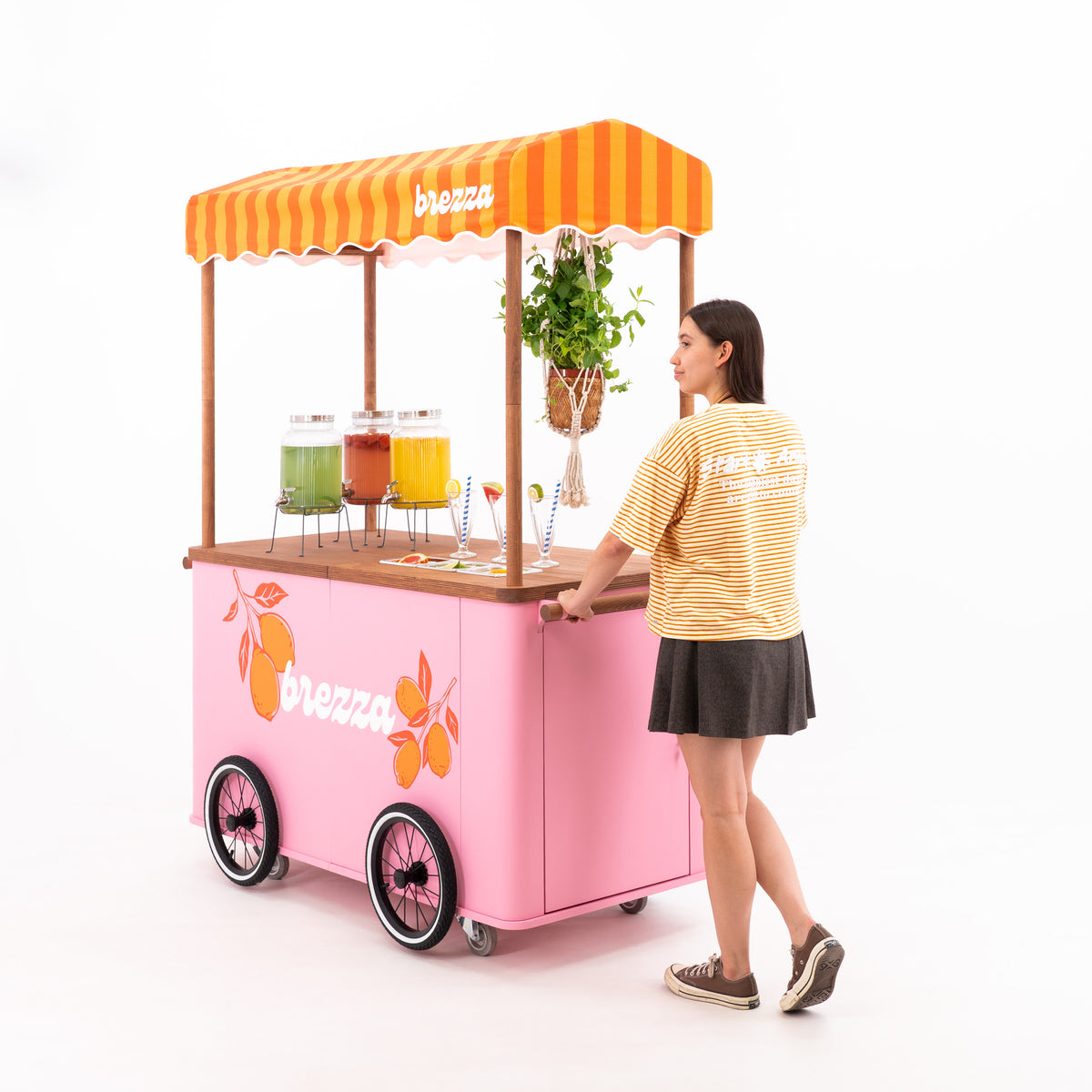 Carrito grande para eventos con toldo VC-37-W-ML | color personalizado