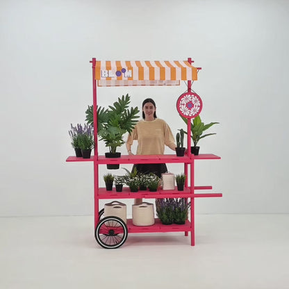 Market Stall Cart with Canopy BC-09-W-ML | custom color